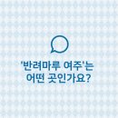 여주365공인중개사사무소 | "반려마루 여주"는 어떤 곳인가요?