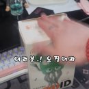 춤추는오징어