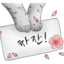 엉클스캣 이미지