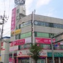 스마일여행사 이미지