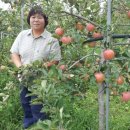 금마농장 이미지