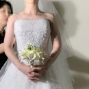 비즈봄 | 8월 예식 여름~봄라이트톤 신부의 폴라리스 본식드레스 셀렉 후기! 잔잔비즈 3벌과 미카도실크 1벌 피팅