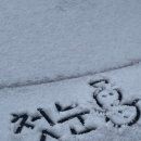 워너짐 하단점 이미지