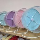 부산햄스터분양 행복햄 이미지