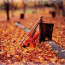 한국인이 좋아하는 명곡 바이올린 연주 이미지