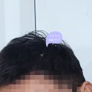 곡강숯불갈비 네이버블로그