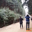 완주편백나무숲힐링온펜션