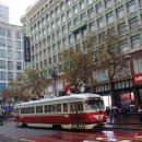 강남국제행정사 이미지