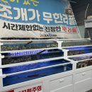 황금조개튼튼장어