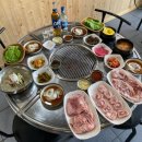 세화탐나는도새기