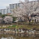 국원고등학교 티스토리