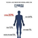 토시랑 세일바지/기미선스틱/산양단백질 이미지