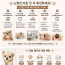 다온그루밍 | 🐶12살 노령견 미용, 밀키가 5년째 다니는 다온그루밍 후기