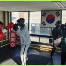 박돌복싱클럽 이미지