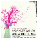숲의기억