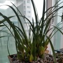 수봉농원 이미지