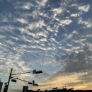 도안중로 이미지