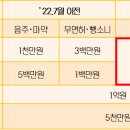 음주운전에 따른 면허효력 정지 등 무면허 상황에서의 보험사고 관련 소비자 유의사항 이미지