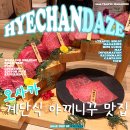 야끼니꾸소도 | 도톤보리 맛집 찾는다면 만족도 높았던 야끼니꾸 추천 오사카 야키니쿠 갓포YP류 니시신사이바시점