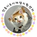 운흥경로당 네이버블로그