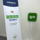 책 읽어주세요 2기 | [윌라] 최우수팀이 알려주는 윌라 서포터즈 활동 꿀팁 +해단식 후기