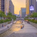 경향 행정사사무소 이미지