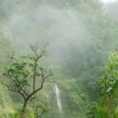 ROAD TO HANA 이미지