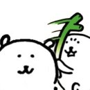 도리도리 이미지