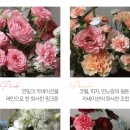 서머셋가든