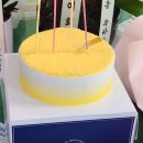 굿모닝 병원 앞 - 우 이미지