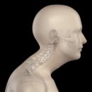 길라잡이 체육관 두정점 이미지