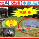 묘 훼손시의 대책!!! 이미지
