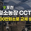 방수농장 | 포천 젖소농장 CCTV 설치 후기 │ 아날로그에서 400만화소 IP카메라 교체
