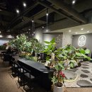 다드림 | 도봉구 감성 티 카페 '티하우스 다드림' 내돈내산 후기