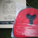 로아르 헬시 | 헬시메이트 로아르 이스키움 기능성방석 사용 후기