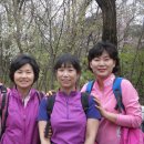 탁구 초급반 이미지