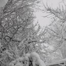 하나타이어 이미지