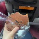 한국교육평가원 앞 (스시정 앞 횡단보도) | 한국교육과정평가원 행정원 서류 합격! 2차 전형 필기 및 보고서 작성 후기(feat. 진천에서 혼자 놀기)