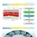 트로이샵 이미지