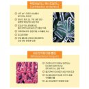 퍼스트헬씨