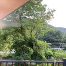 태백구문소힐링캠프 | 태백 계곡 있는 캠핑장 태백 구문소 힐링캠프 글램핑 후기