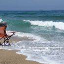 낙산바다이야기 이미지