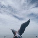 엘가안경 이미지