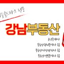 강남골드공인중개사사무소 이미지