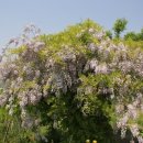 도촌농장 이미지