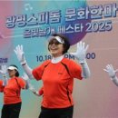 은빛날개