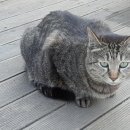 강동구청 성안별관 이미지