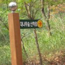 황제원