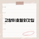 고양이호텔 외갓집 이미지