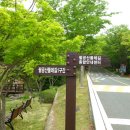 팔공산 둘레길 1구간 이미지